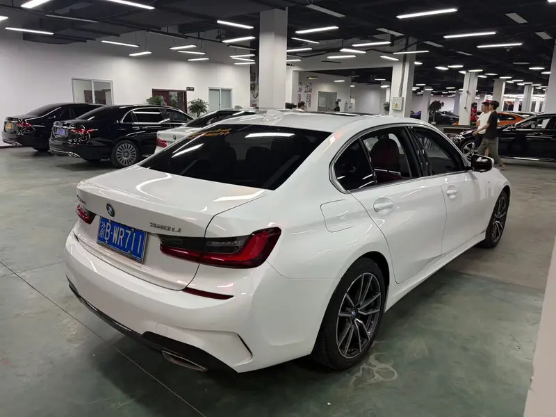 BMW 3 Series 320Li M спортпакет — фото 6