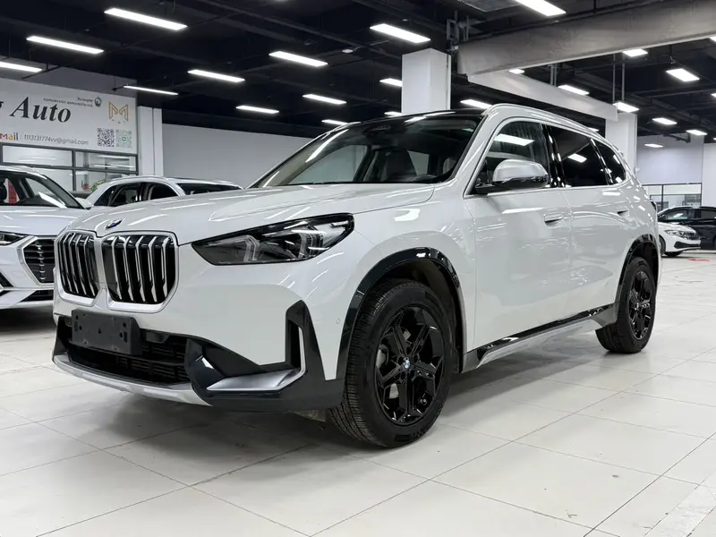 BMW X1 — фото 1