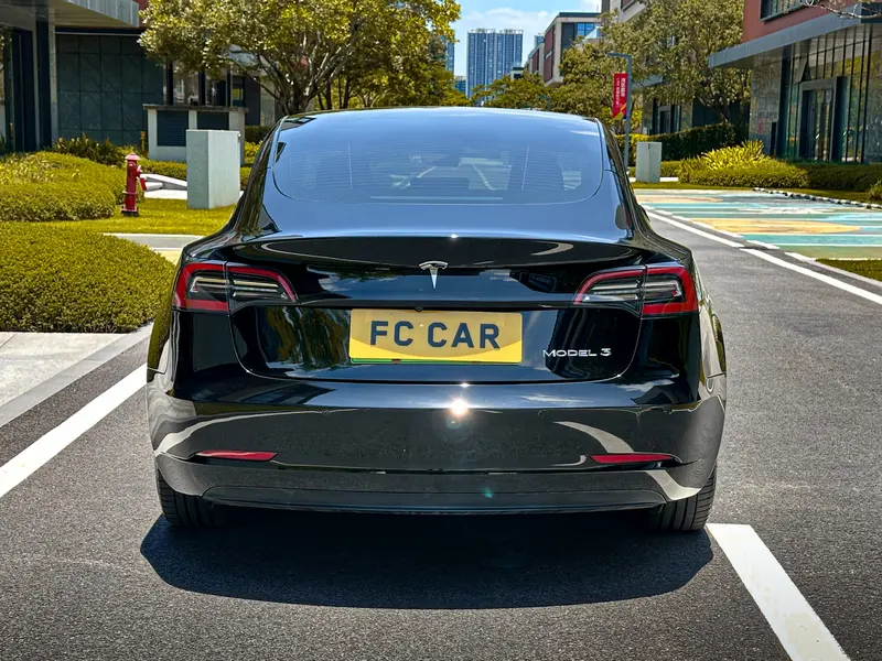 Tesla Model 3 RWD — фото 6
