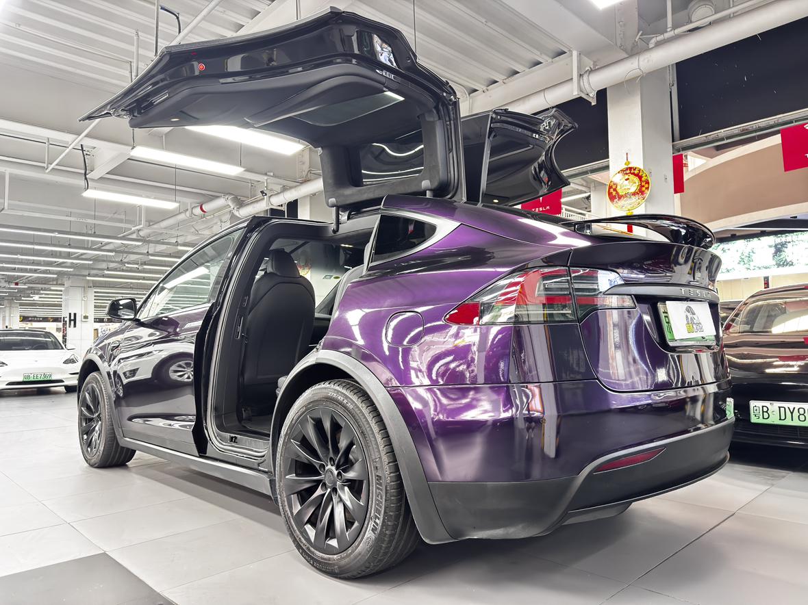 Tesla Model X: фотография 10 из 15