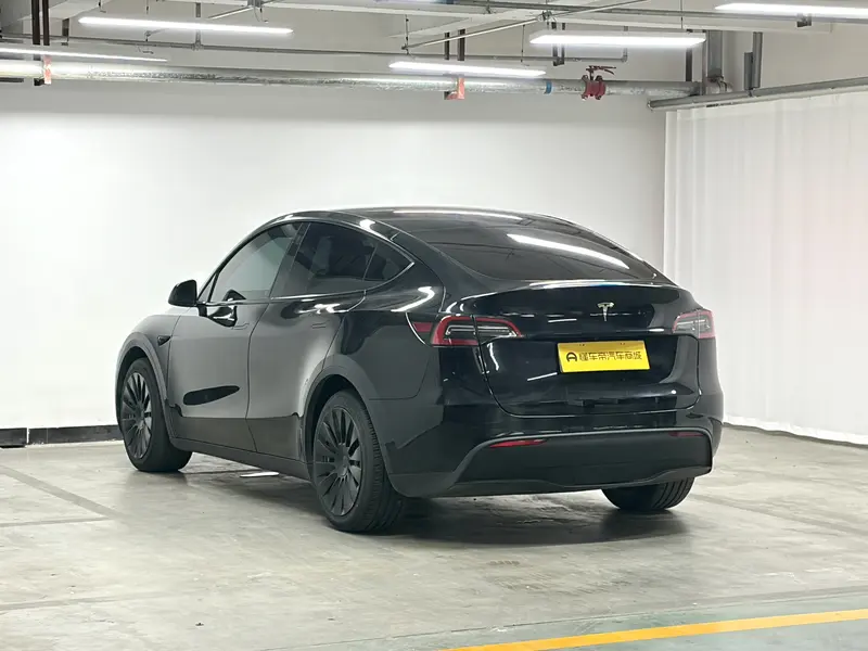 Tesla Model Y — фото 5