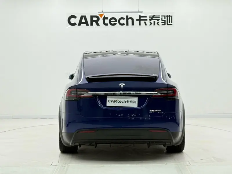 Tesla Model X Performance — фото 6