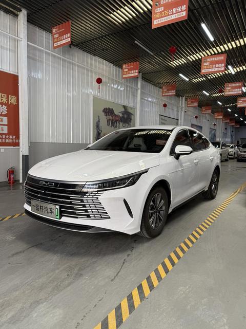 BYD Destroyer 05