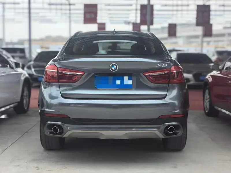 BMW X6 xDrive35i люкс — фото 5