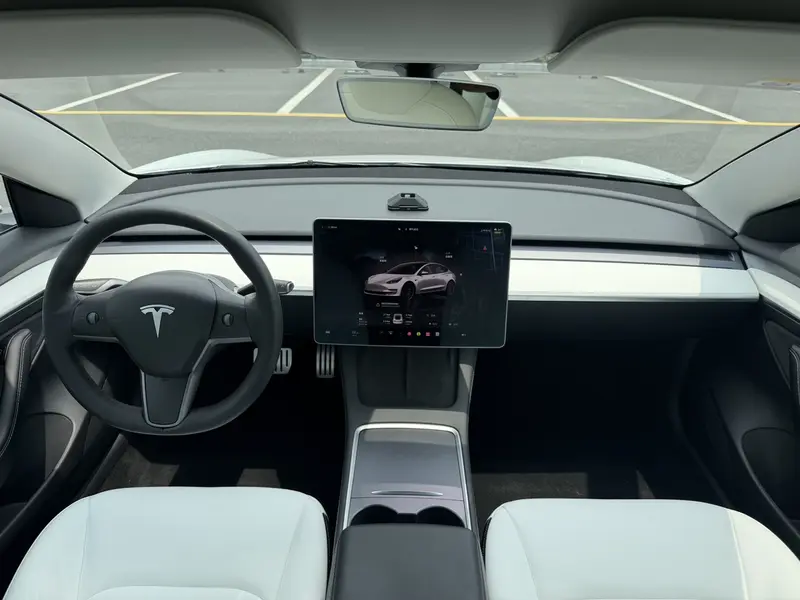 Tesla Model 3 Performance — фото 7