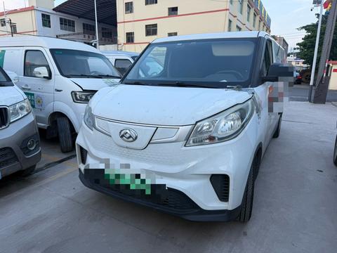 MAXUS EV30