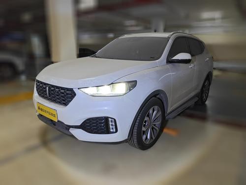 WEY VV6