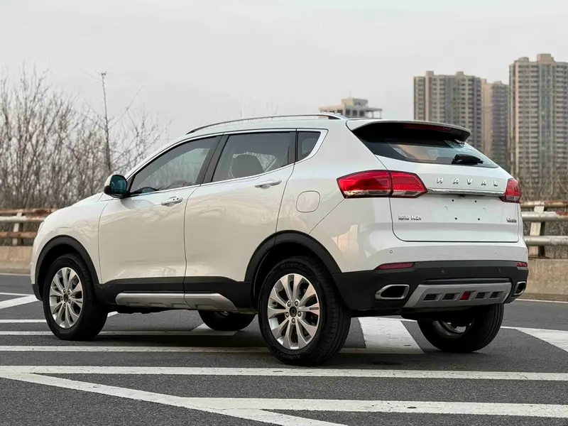 Haval H2s — фото 5