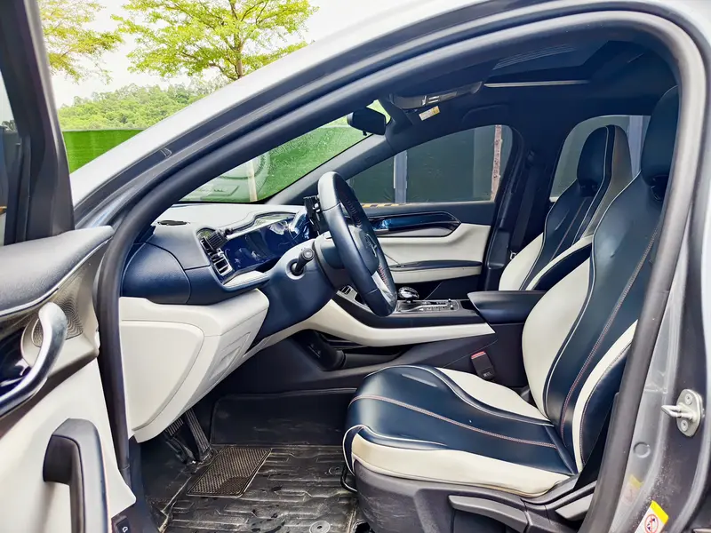 BYD Qin PLUS DM-i 120 KM Premium — фото 9