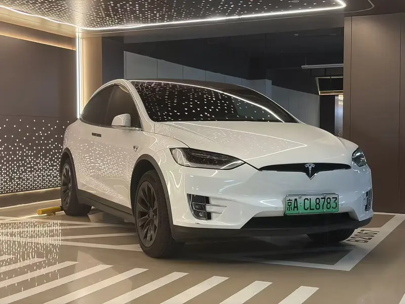 Tesla Model X 75 D — фото 3