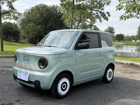 Geely Galaxy Panda