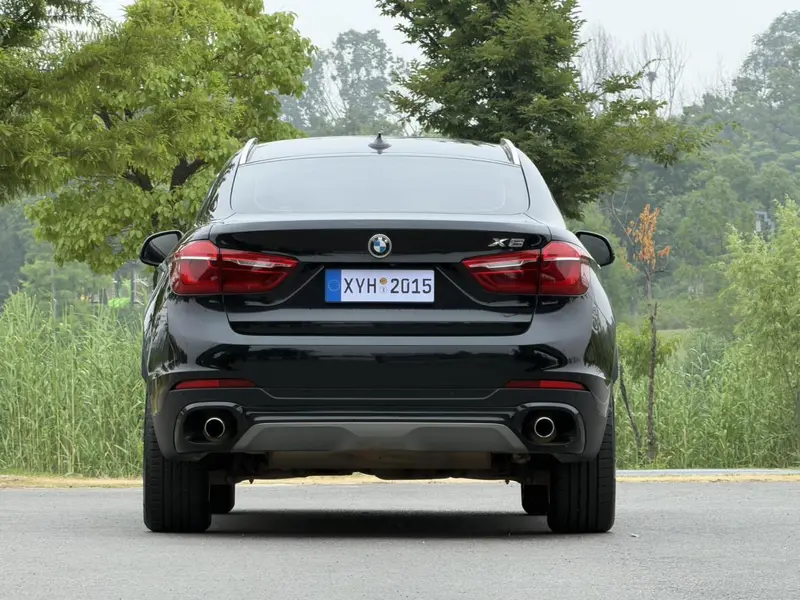 BMW X6 xDrive28i — фото 5
