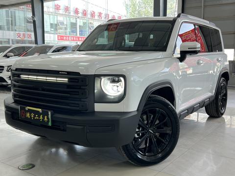 Haval Raptor PHEV, 2024 год