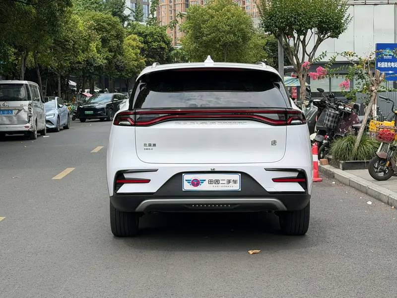BYD Tang DM-i 1.5 T 112 KM Premium — фото 5