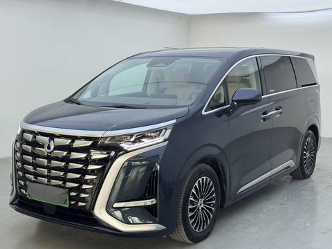 DENZA D9 DM