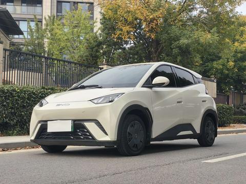 BYD Seagull