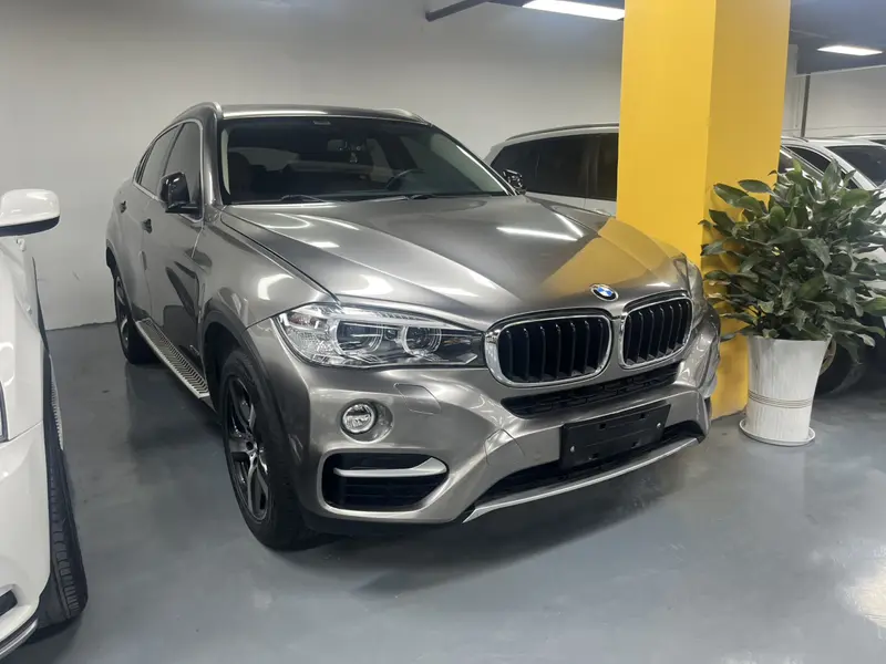 BMW X6 xDrive35i люкс — фото 3