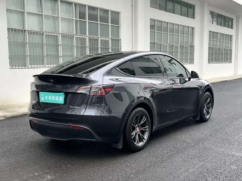 Tesla Model Y — фото 6