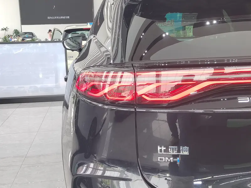 BYD Tang DM-i 112 KM Flagship — фото 6