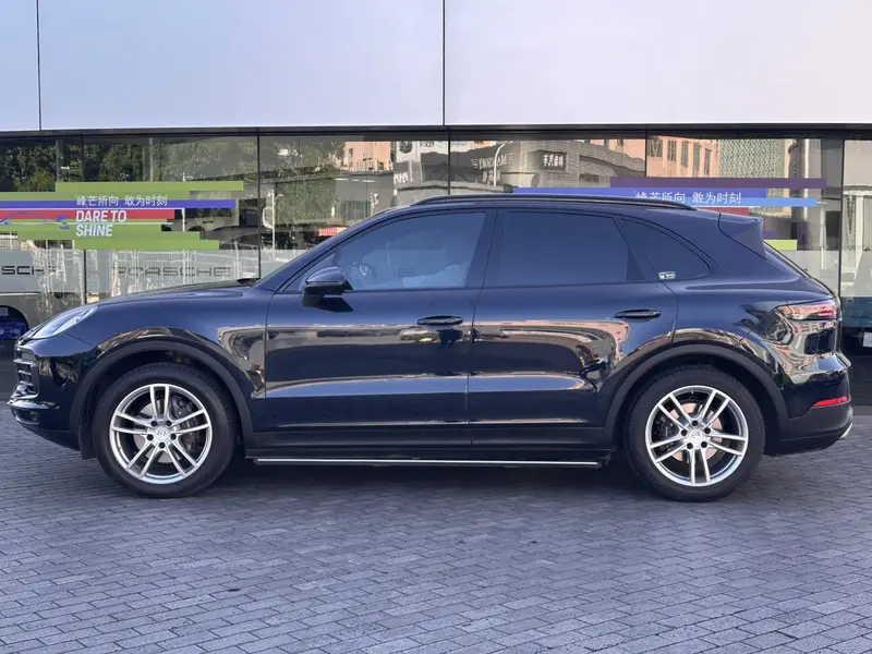 Porsche Cayenne 3.0 T Platinum — фото 4