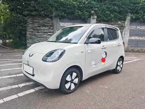 Wuling Hongguang MINI EV