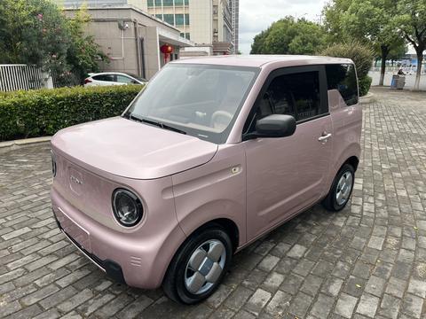 Geely Galaxy Panda