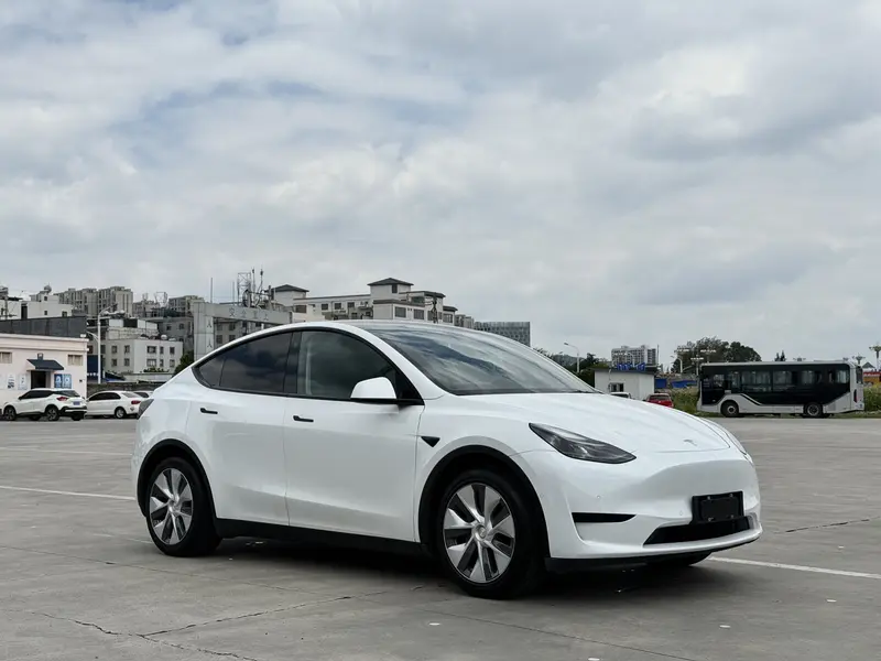 Tesla Model Y — фото 3