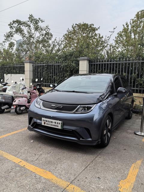 BYD Dolphin
