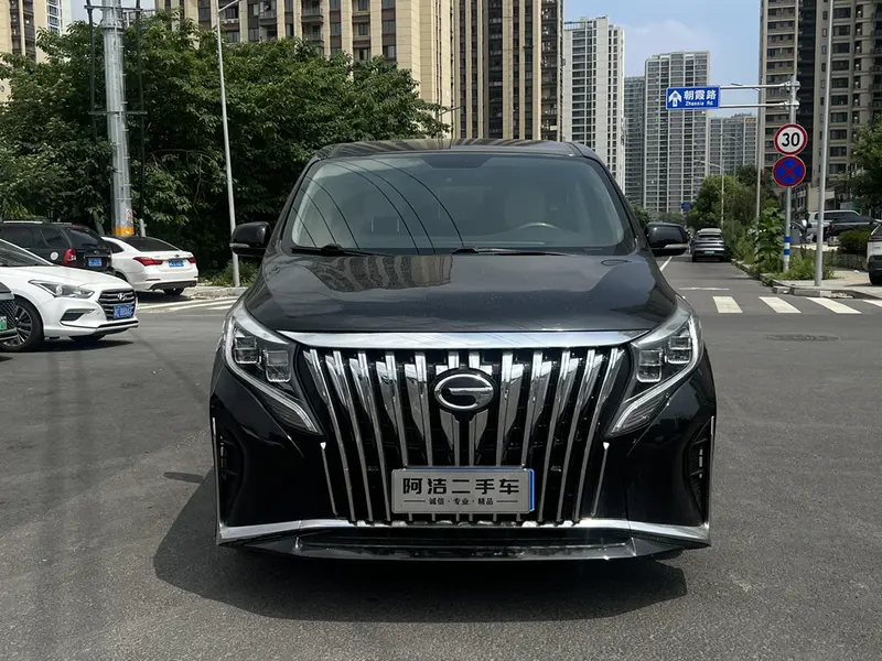 Trumpchi GACTrumpchi M8 — фото 2