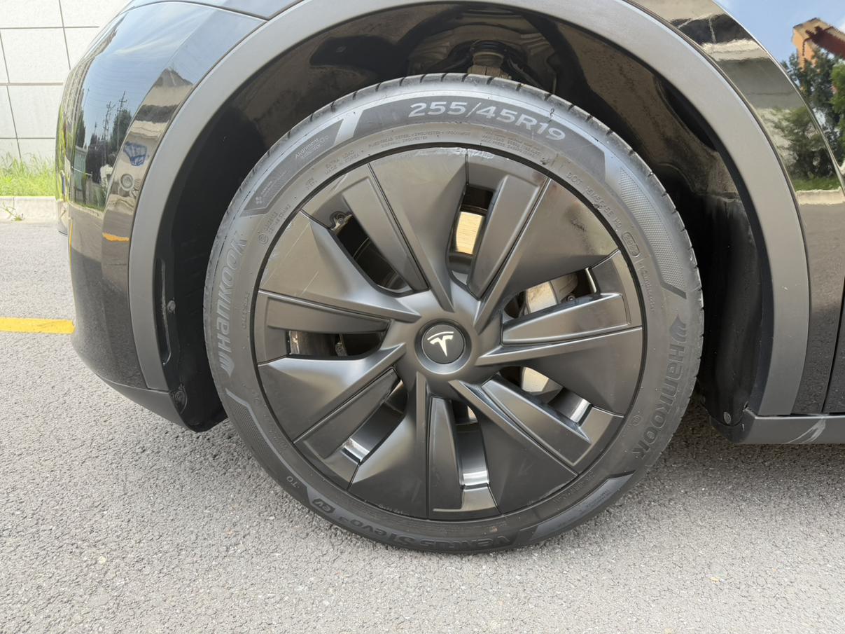 Tesla Model Y: фотография 19 из 21