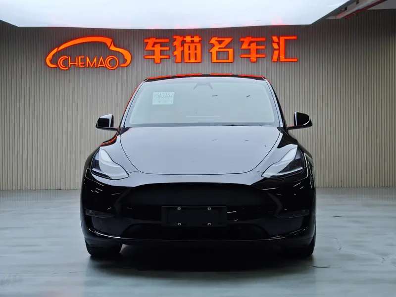 Tesla Model Y — фото 2