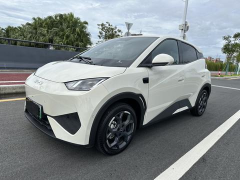 Seagull 2025 Smart Driving Edition 305 км, бесплатная версия