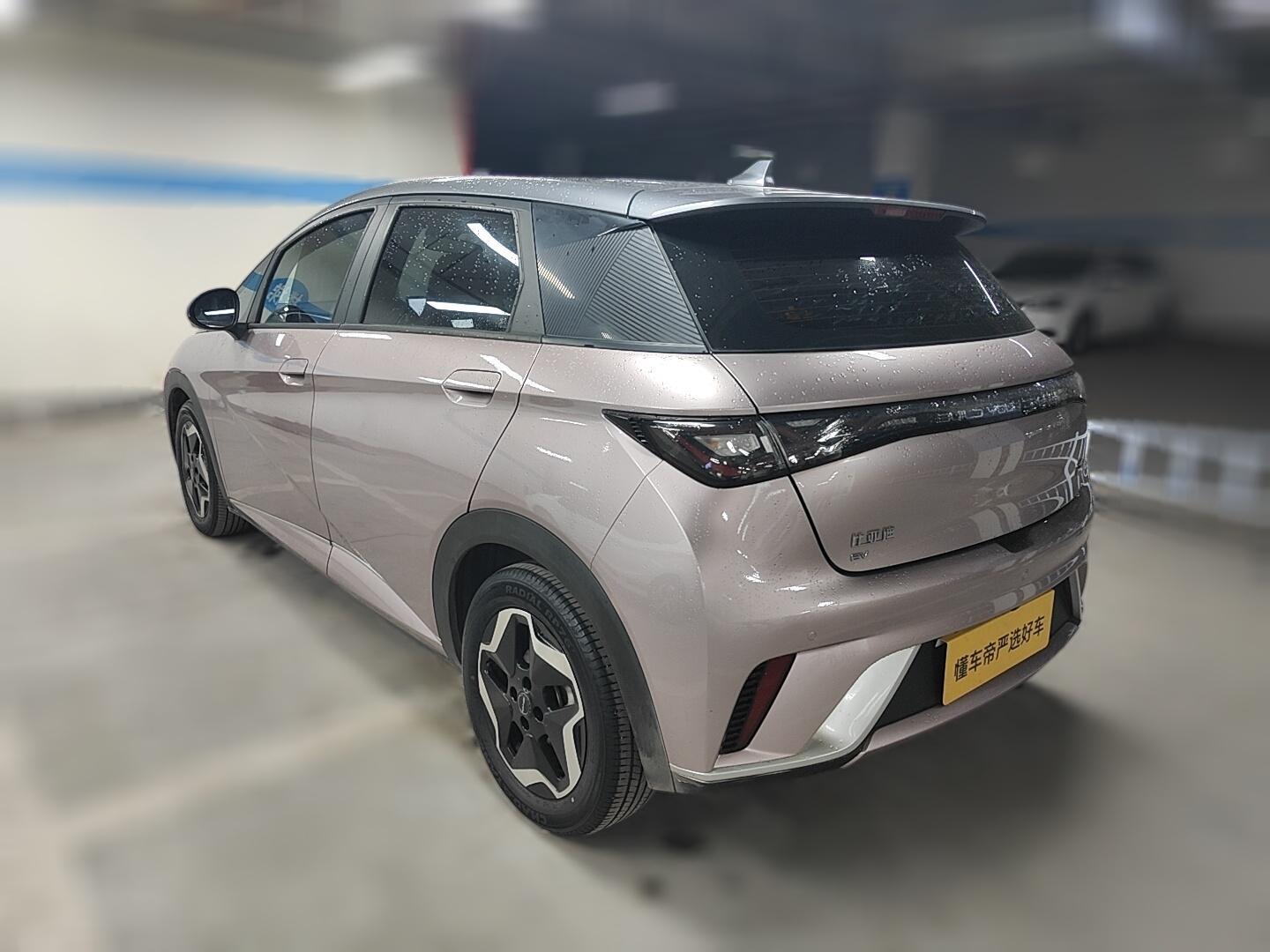 BYD Dolphin 2021 Fashion