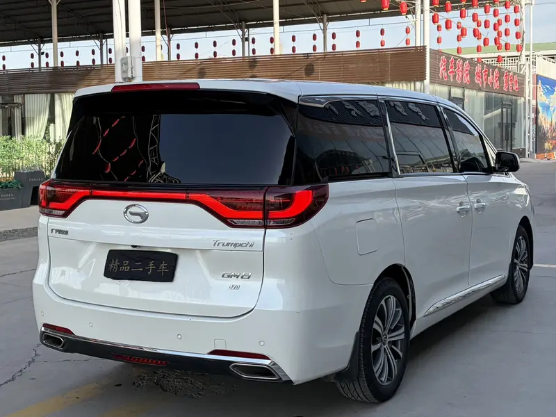 Trumpchi GACTrumpchi M8 — фото 6