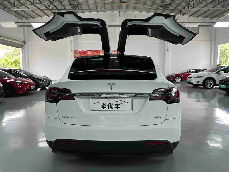 Tesla Model X 100D увеличенный запас хода — фото 6
