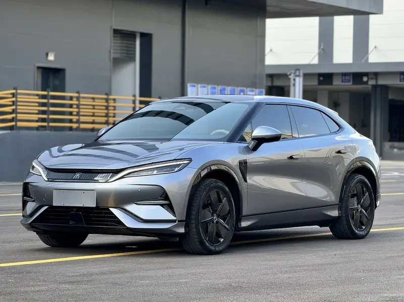 BYD L EV 550km