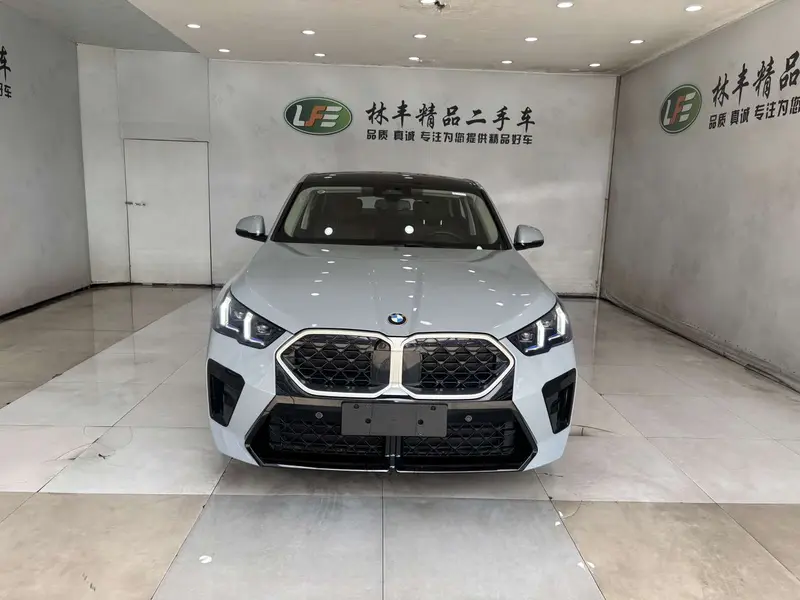 BMW X2 — фото 2