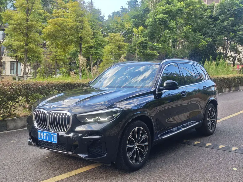 BMW X 5 x Drive 30i M Sport Package