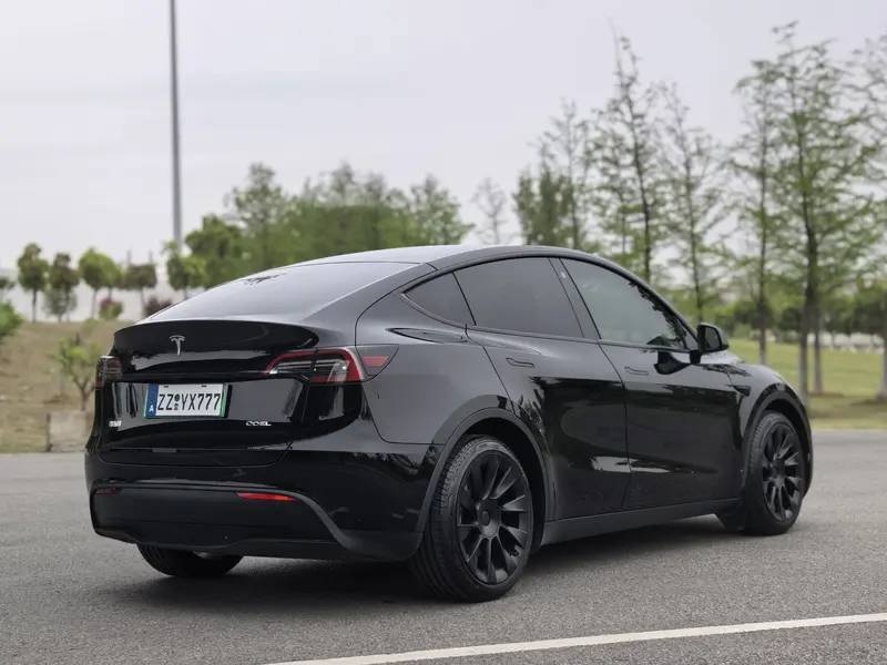Tesla Model Y — фото 6