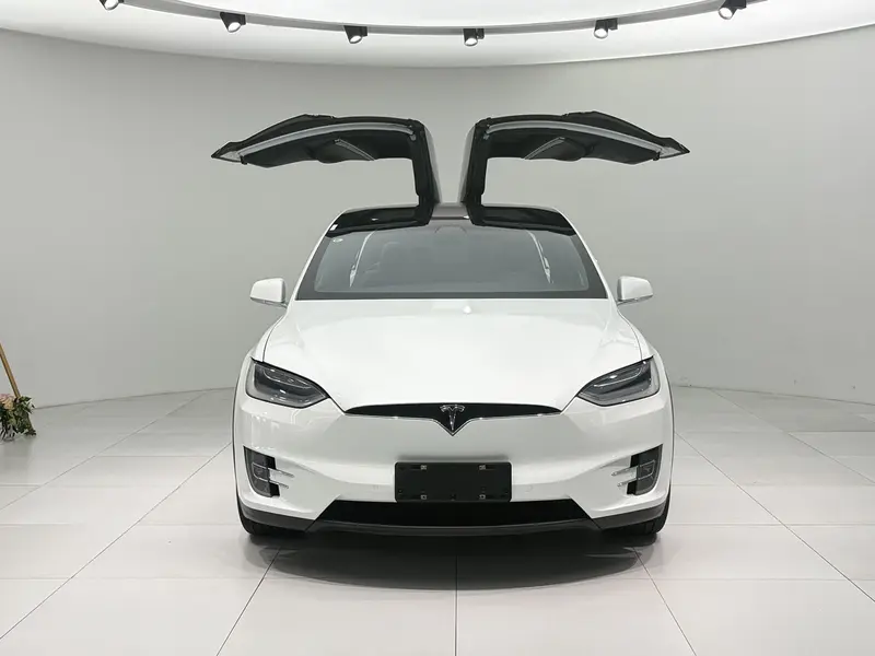 Tesla Model X 100 D — фото 2
