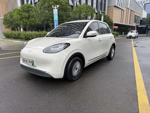 Wuling Bingo