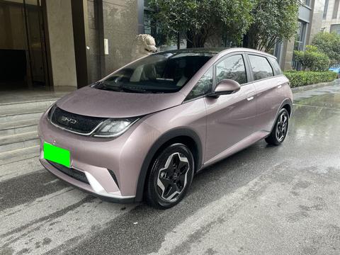 BYD Dolphin 2021 Freedom