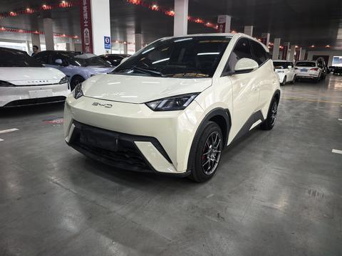 BYD Seagull 2024