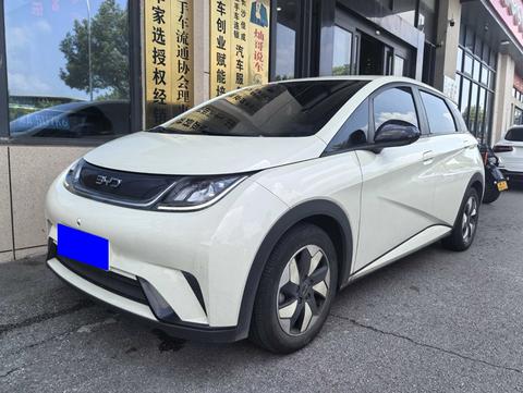 BYD Dolphin