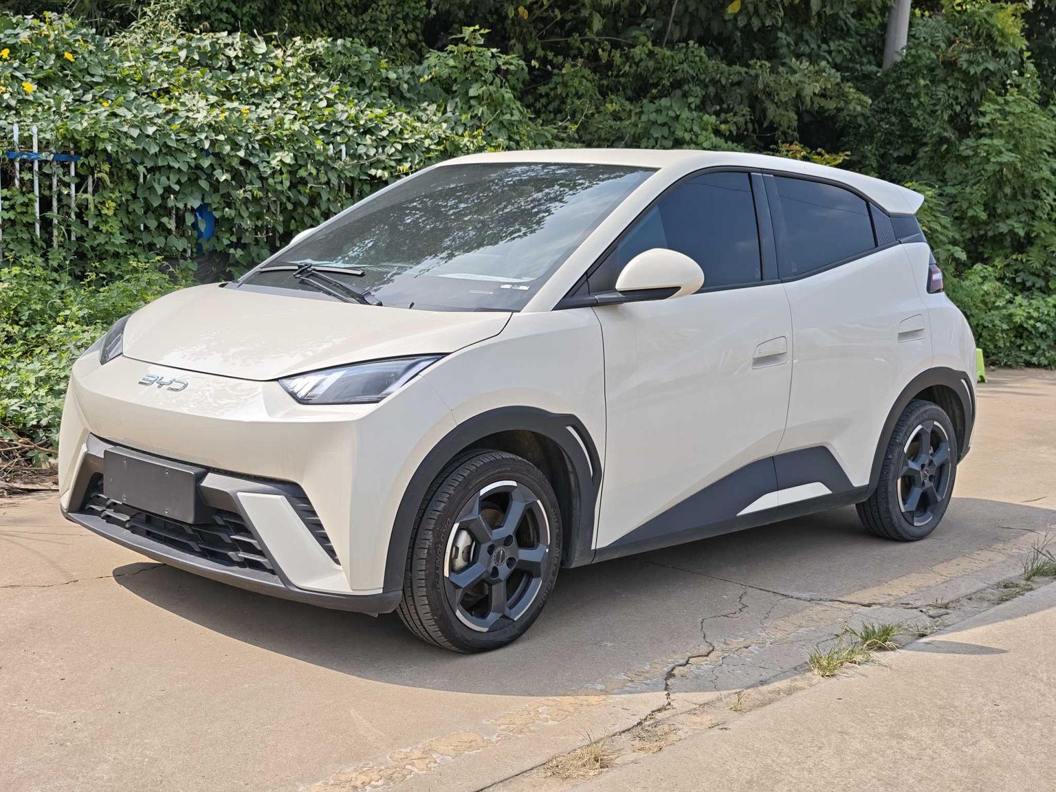BYD Seagull 2024 405KM Flying