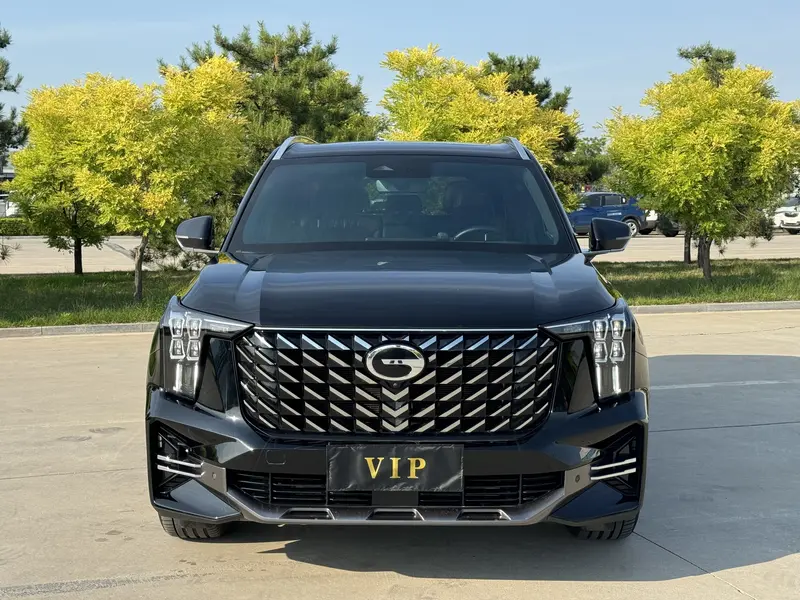 Trumpchi GACTrumpchi GS8 — фото 2