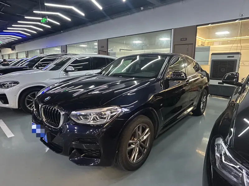 BMW X 4 x Drive 25i M Sport Package