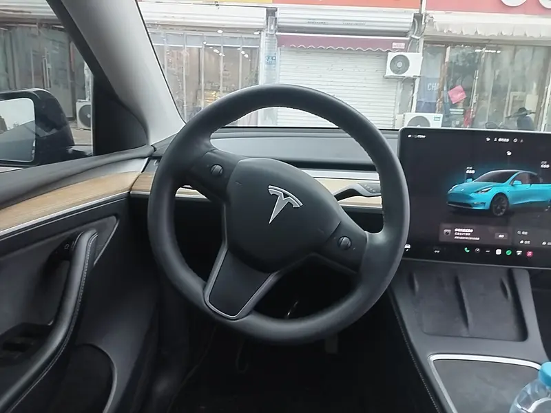 Tesla Model Y — фото 11