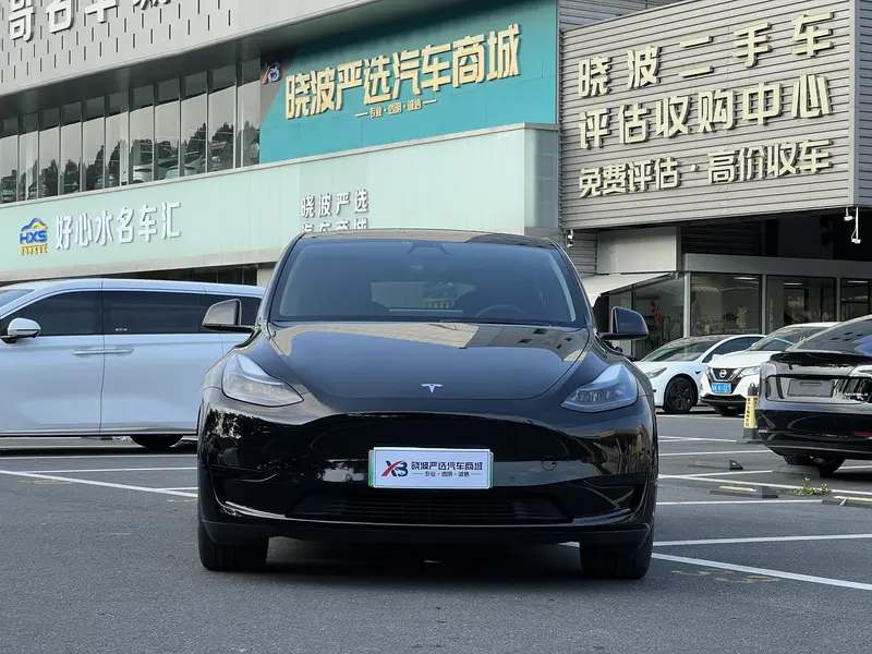 Tesla Model Y — фото 2