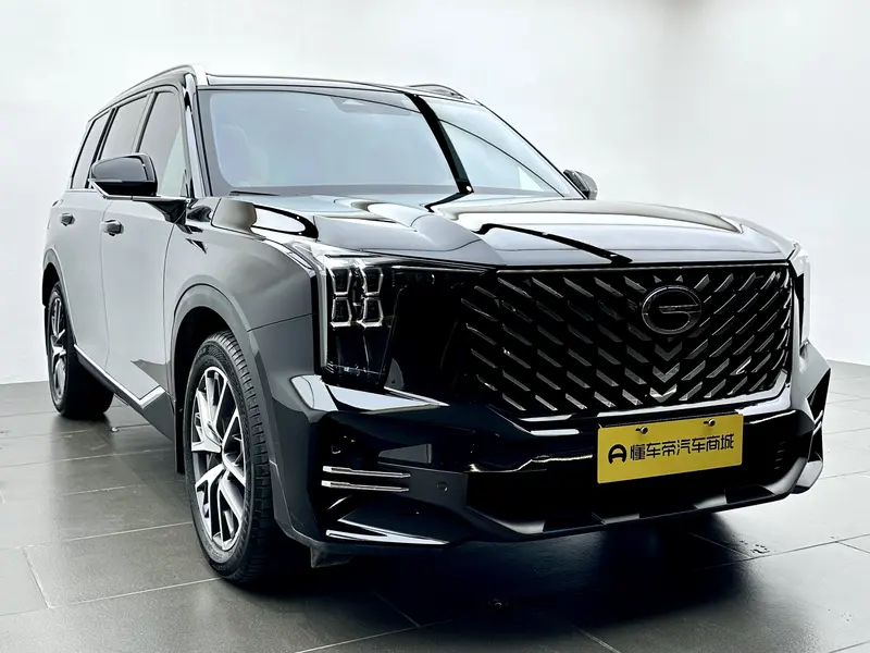 Trumpchi GACTrumpchi GS8 — фото 3